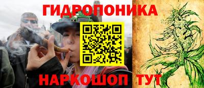 крисы Будённовск
