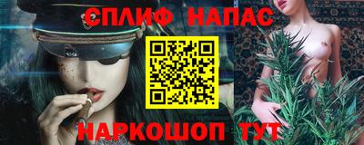 крисы Будённовск