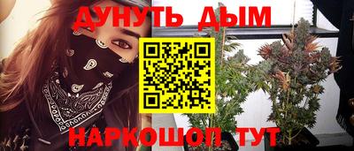 крисы Будённовск