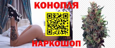 крисы Будённовск