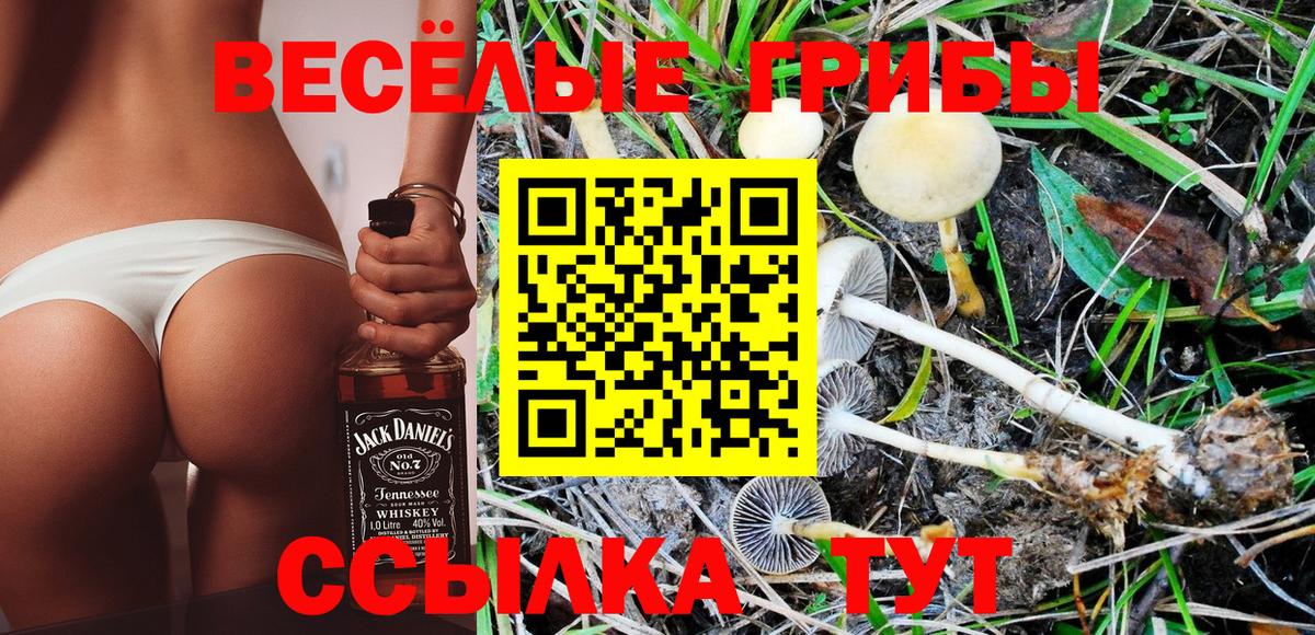 Псилоцибиновые грибы Magic Shrooms  Вход с VPN  Саяногорск 